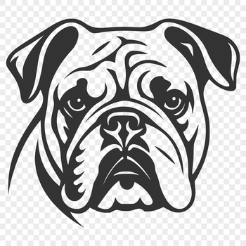 A vector illustration of a Bulldog's head.