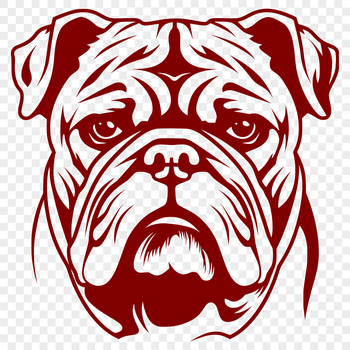 A cartoon illustration of a bulldog's head with wrinkles and folds on its face.