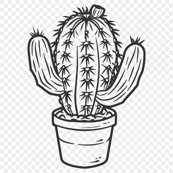 A digital representation of a cactus in vector format.