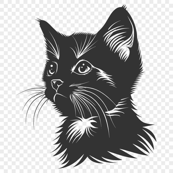 A small domestic cat in a sitting position.