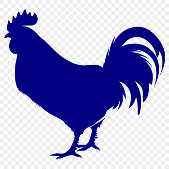 An illustration of a full-body chicken in a farm animal silhouette, suitable for various uses.
