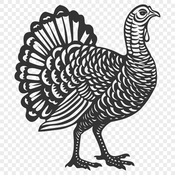 A detailed illustration of a full-body turkey in various farm settings.