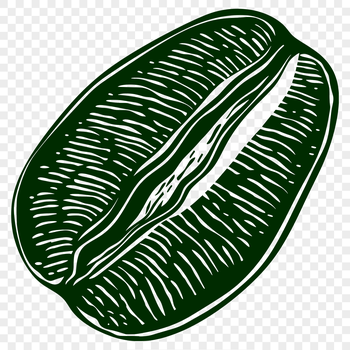 An illustration of a single coffee bean with details of the outer shell and inner seed.