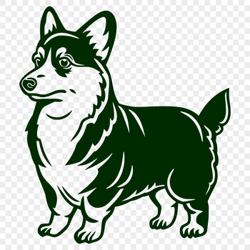 A full-body illustration of a Corgi standing upright, suitable for use in vector graphics.