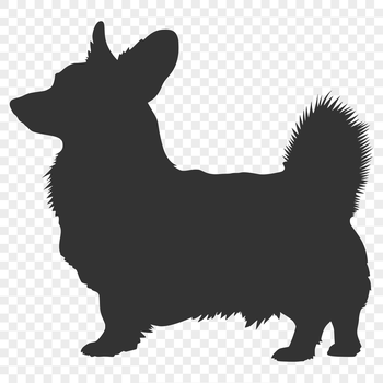 A detailed vector illustration of a standing corgi from the front, depicted as a pet animal in silhouette.