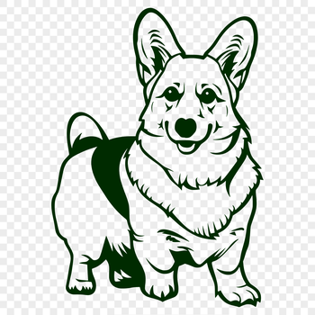 A standing Corgi breed dog in full body silhouette.