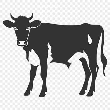 A detailed illustration of a cow from full body perspective, suitable for commercial or personal use.