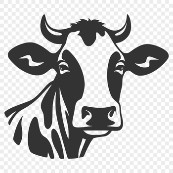 A digital illustration of a cow's head, suitable for vector design and editing in software like Procreate or Illustrator.