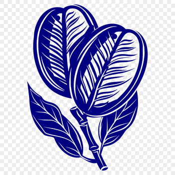 An illustration of a single coffee bean, a small plant seed used in the production of coffee.