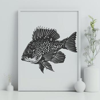 A clear illustration of a full-body Crappie fish in vector format.