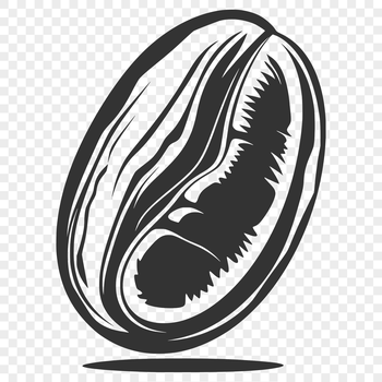 Close-up illustration of a single coffee bean.
