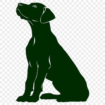 A medium-sized brown dog with a distinctive head shape, sitting on its haunches.