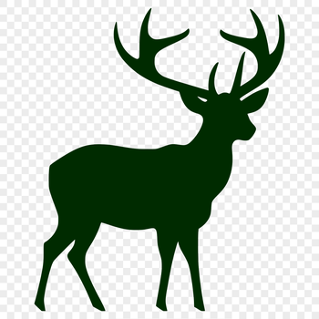 A detailed vector illustration of a deer in full body silhouette.