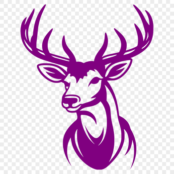 SVG design of a single deer's head in simple yet realistic style.