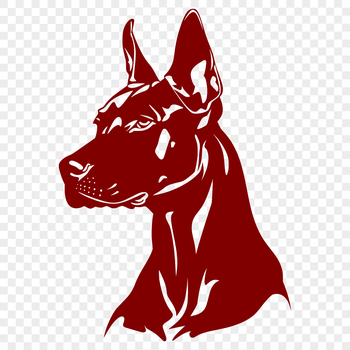 A medium-sized dog breed with a muscular build, long ears, and a distinctive head shape.