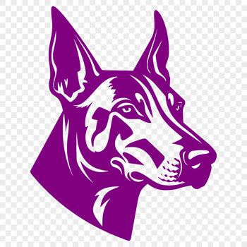 A vector illustration of a Doberman Pinscher dog breed.