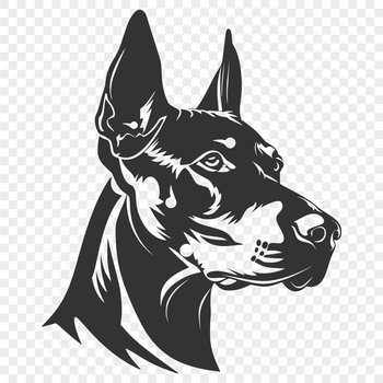 A headshot of a Doberman Pinscher, a medium to large-sized dog breed known for its intelligence and loyalty.