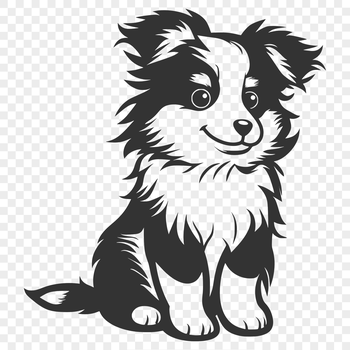 A Shetland sheepdog sitting on its hind legs, viewed in full body.