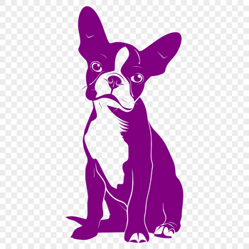 A vector image of a seated Boston Terrier animal in outline form.