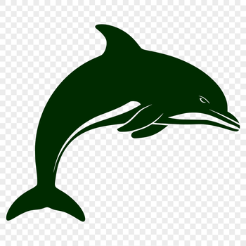 A detailed illustration of a dolphin's full body, suitable for vector art and cutting machine applications.