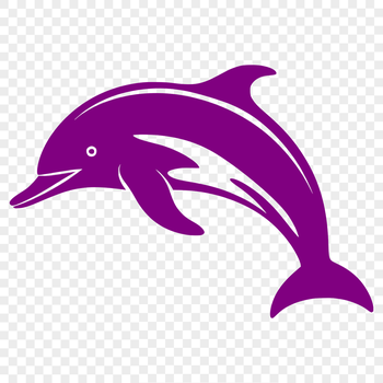 A detailed illustration of a dolphin in full body pose, suitable for vector design.