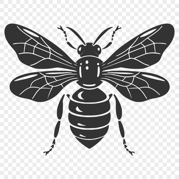 A detailed illustration of a bee in full-body view, suitable for gardening and craft projects.