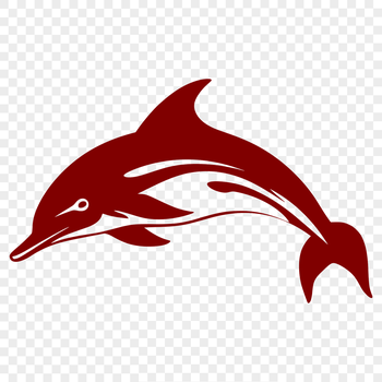 A detailed, full-body illustration of a dolphin in a swimming position.