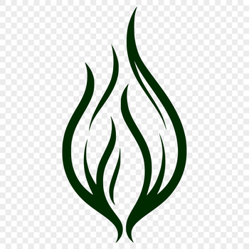 A simple line drawing illustration of flames in vector format.