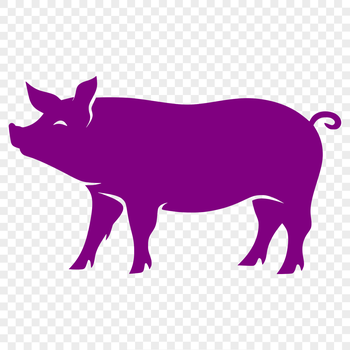 A standing full-body illustration of a farm animal, suitable for vector design and clip art use.