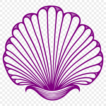 A detailed illustration of a seashell, designed as vector art for various uses.