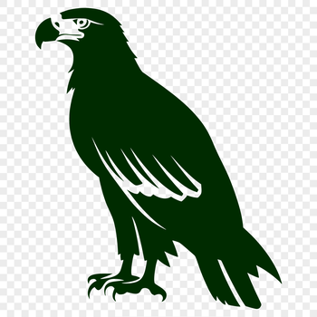 A detailed illustration of a full-body eagle perched on a branch, suitable for vector design projects.