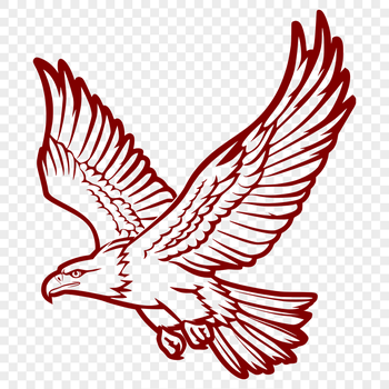 Beautiful Flying Eagle Decal