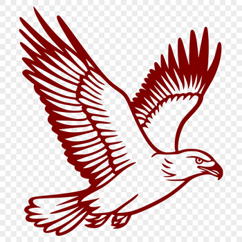 A full-body illustration of a soaring eagle in flight, rendered as vector art.