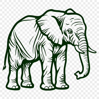 A detailed illustration of a standing elephant from a front-facing perspective, showcasing its full body.
