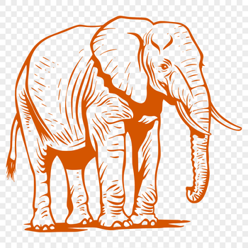 A detailed, full-body illustration of a standing elephant in a neutral background.