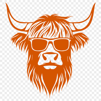 A Highland Cow with a pair of sunglasses on its head, sitting in a farm setting.