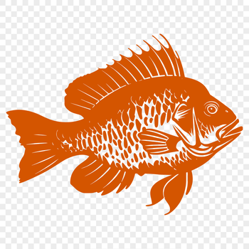 A vector graphic representation of a full-body crappie fish, ideal for use in digital art projects and crafts.