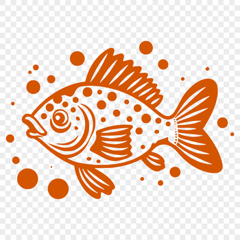 An accurate full-body representation of a Crappie in vector format.