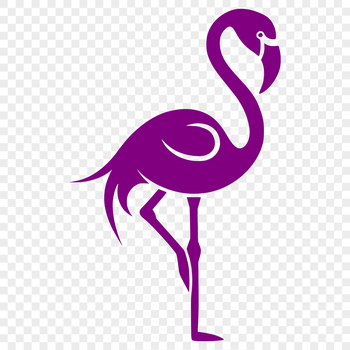 A standing Flamingo bird in full body view, suitable for graphic design projects.