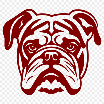 Close-up of a bulldog's head with wrinkled skin and floppy ears, suitable for digital design and crafting projects.