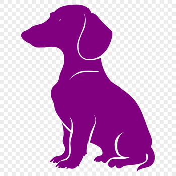 A full-body illustration of a sitting dachshund dog, suitable for use as a vector design or clip art.