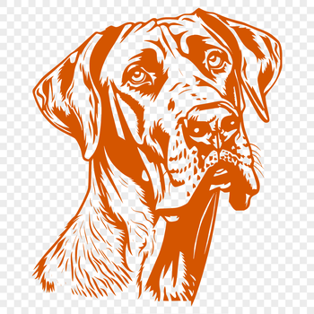 An illustration of a large dog breed with a distinctive head shape.