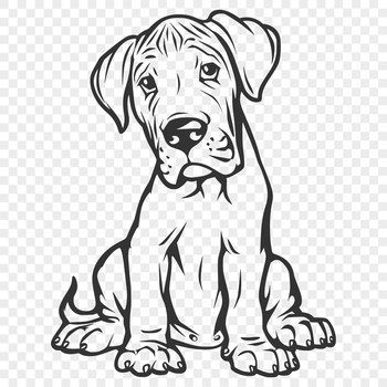 A large breed dog in full body sitting position with distinctive features.