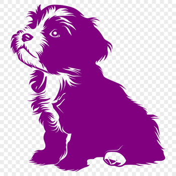 A high-quality digital illustration of a Havanese dog sitting in full body pose.