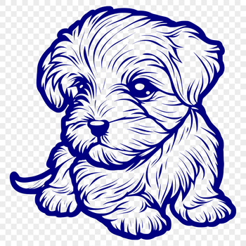 A full-body illustration of a sitting Havanese dog with smooth coat texture.