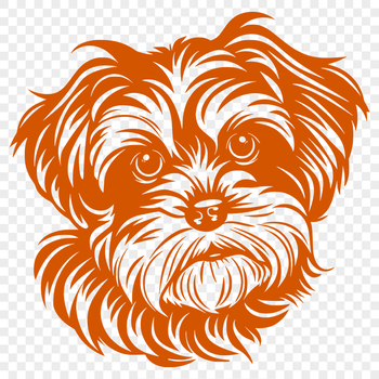 Free Free Havanese Artwork