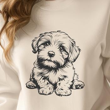 Beautiful Sitting Havanese Vector Art