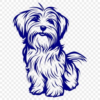 A full-body illustration of a Havanese dog sitting with its head turned to the side.