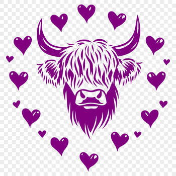 A highland cow with love hearts on its head, a farm animal commonly found in rural landscapes.