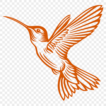 A detailed illustration of a hummingbird in mid-air, showcasing its full body and flight capabilities.